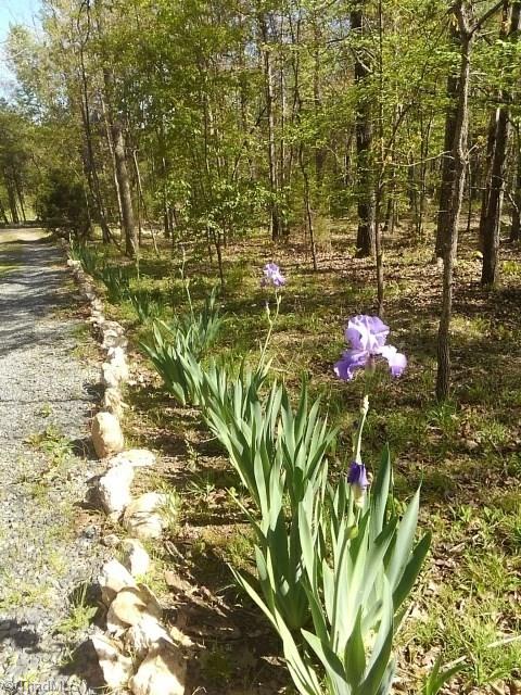 412 Stokes Road Denton, NC 27239 - Photo 11 of 11 Gallery Image 11