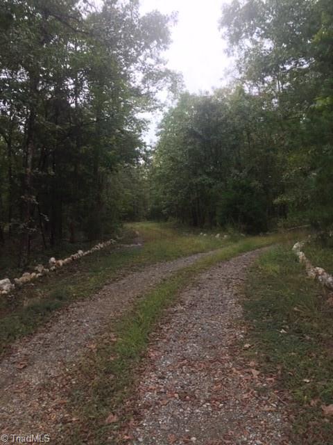 412 Stokes Road Denton, NC 27239 - Photo 3 of 11 Gallery Image 3