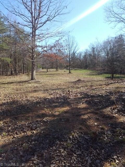 412 Stokes Road Denton, NC 27239 - Photo 10 of 11 Gallery Image 10