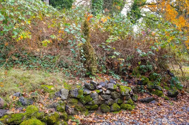a view of a lush green field
