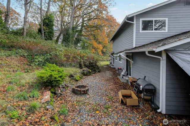 a view of a backyard with plants and trees