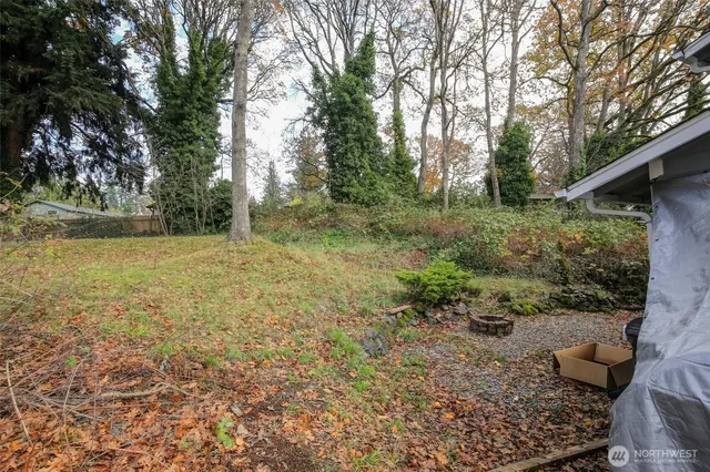 a view of a backyard with trees