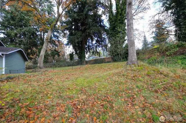 a view of backyard with green space
