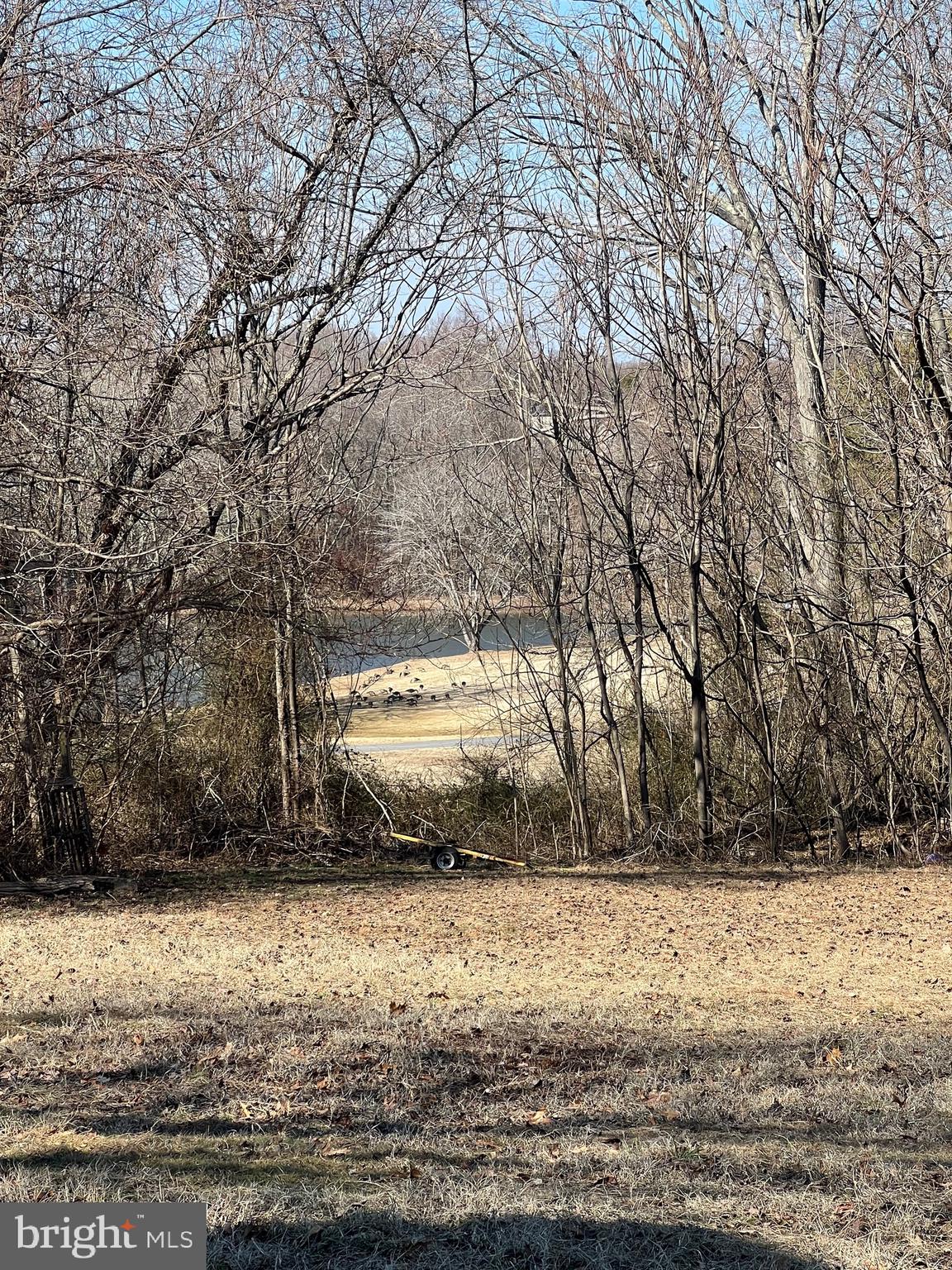6730 Solomons Island Road North Owings, MD 20736 - Photo 39 of 39 View of pond on neighboring property