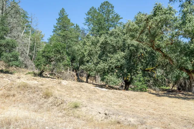 a view of a dirt road with trees in the background