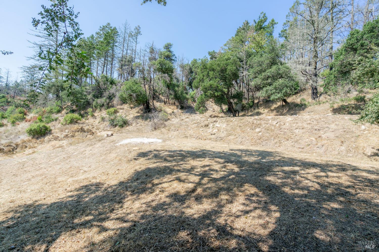 6583 St Helena Road Santa Rosa, CA 95404 - Photo 16 of 71 a view of a dry yard with trees in the background
