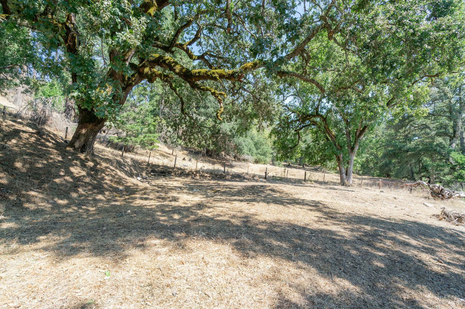 6583 St Helena Road Santa Rosa, CA 95404 - Photo 17 of 71 a view of a yard with a tree