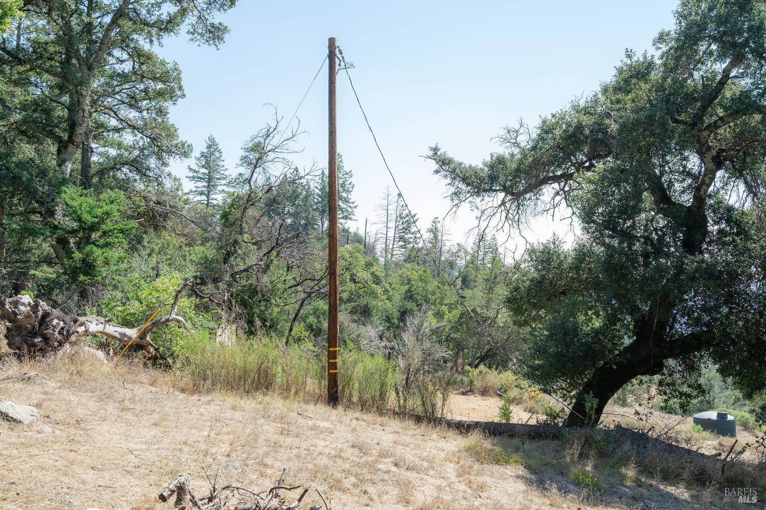 6583 St Helena Road Santa Rosa, CA 95404 - Photo 19 of 71 a picture of trees