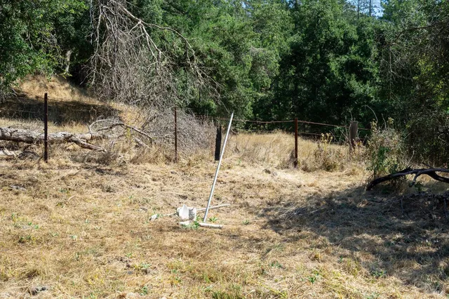 a view of a dry yard with trees and bushes