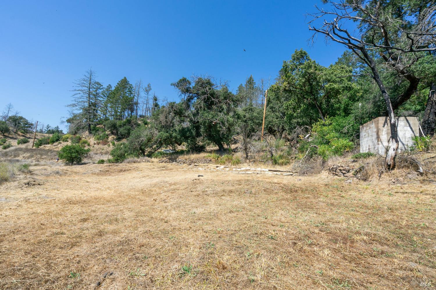 6583 St Helena Road Santa Rosa, CA 95404 - Photo 25 of 71 a view of a yard with an trees
