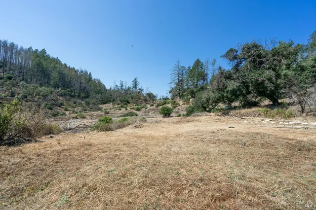 a view of a covered with trees in the background