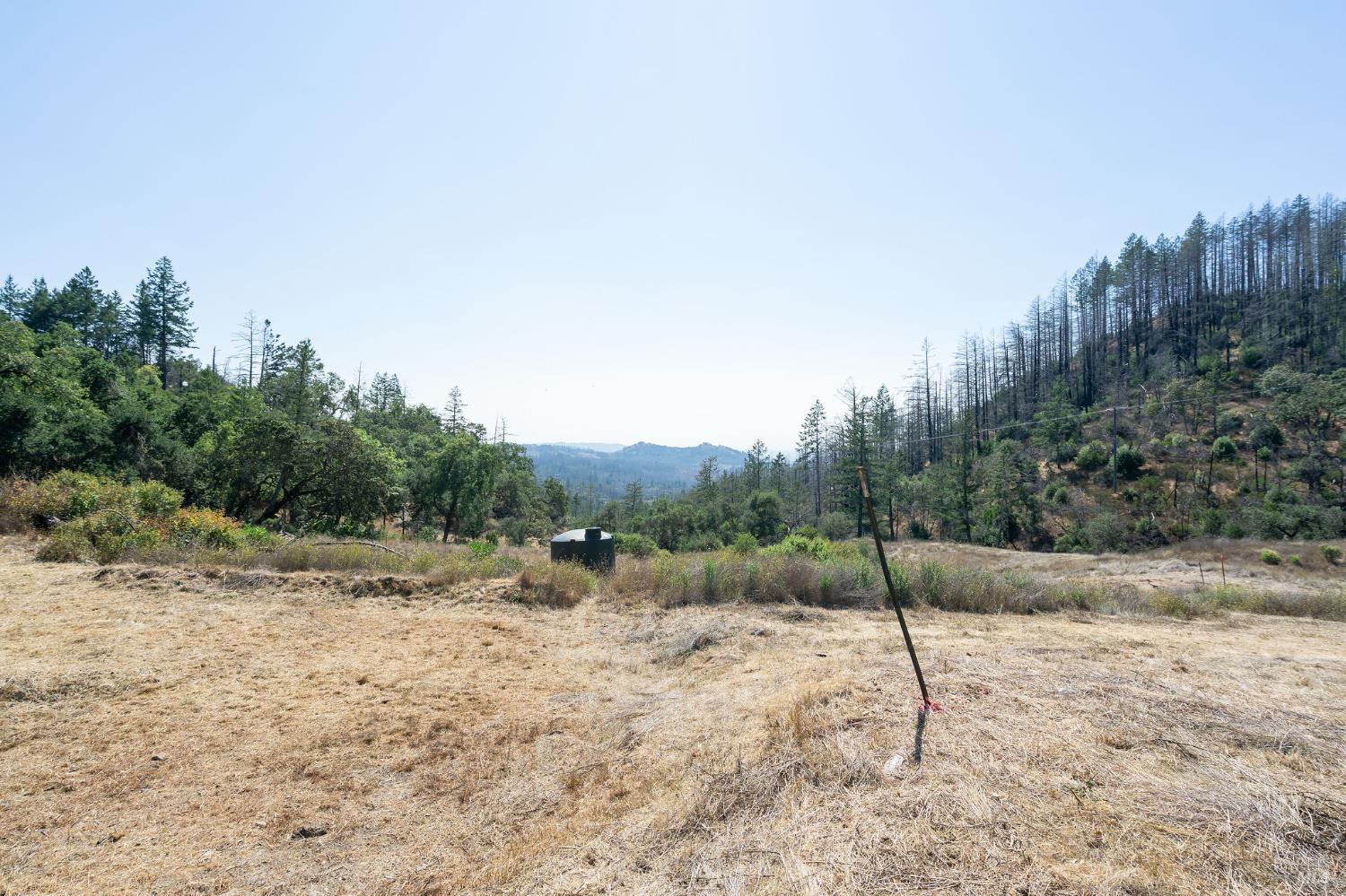 6583 St Helena Road Santa Rosa, CA 95404 - Photo 28 of 71 a view of a dry yard with trees