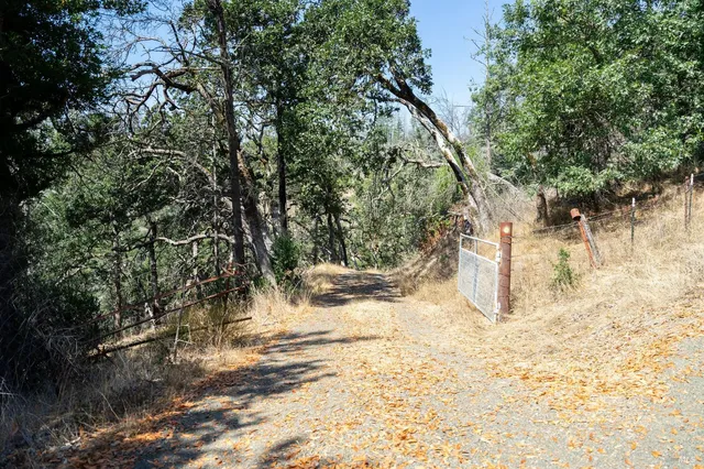 a view of a dry yard with trees