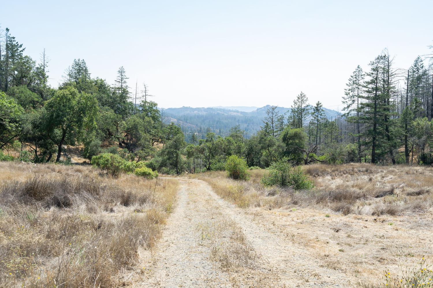 6583 St Helena Road Santa Rosa, CA 95404 - Photo 31 of 71 a view of a dry yard with trees in the background