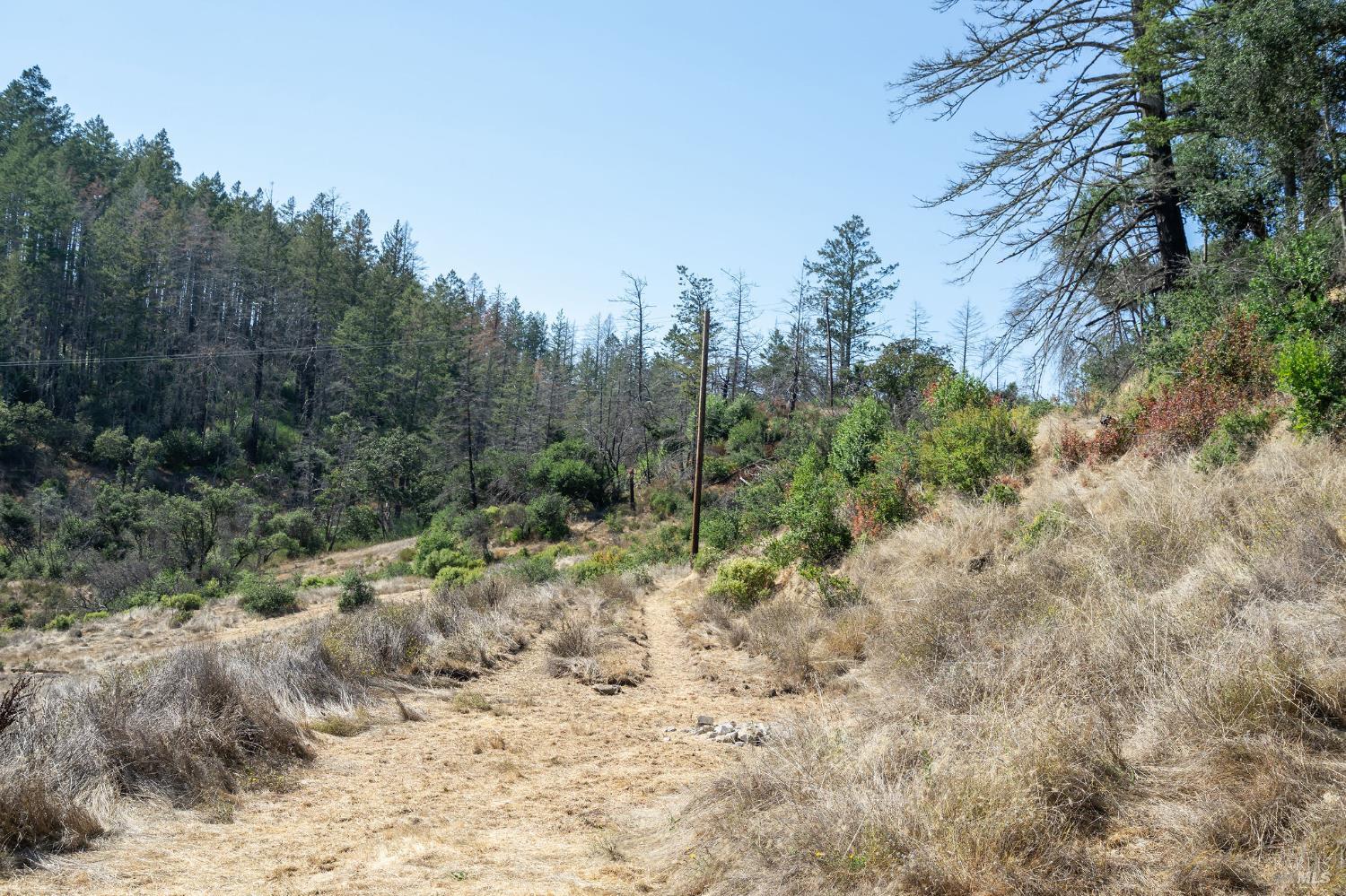 6583 St Helena Road Santa Rosa, CA 95404 - Photo 32 of 71 a view of a forest with trees in the background