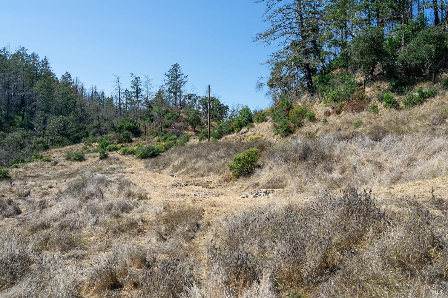 6583 St Helena Road Santa Rosa, CA 95404 - Photo 33 of 71 a view of a forest with trees in the background