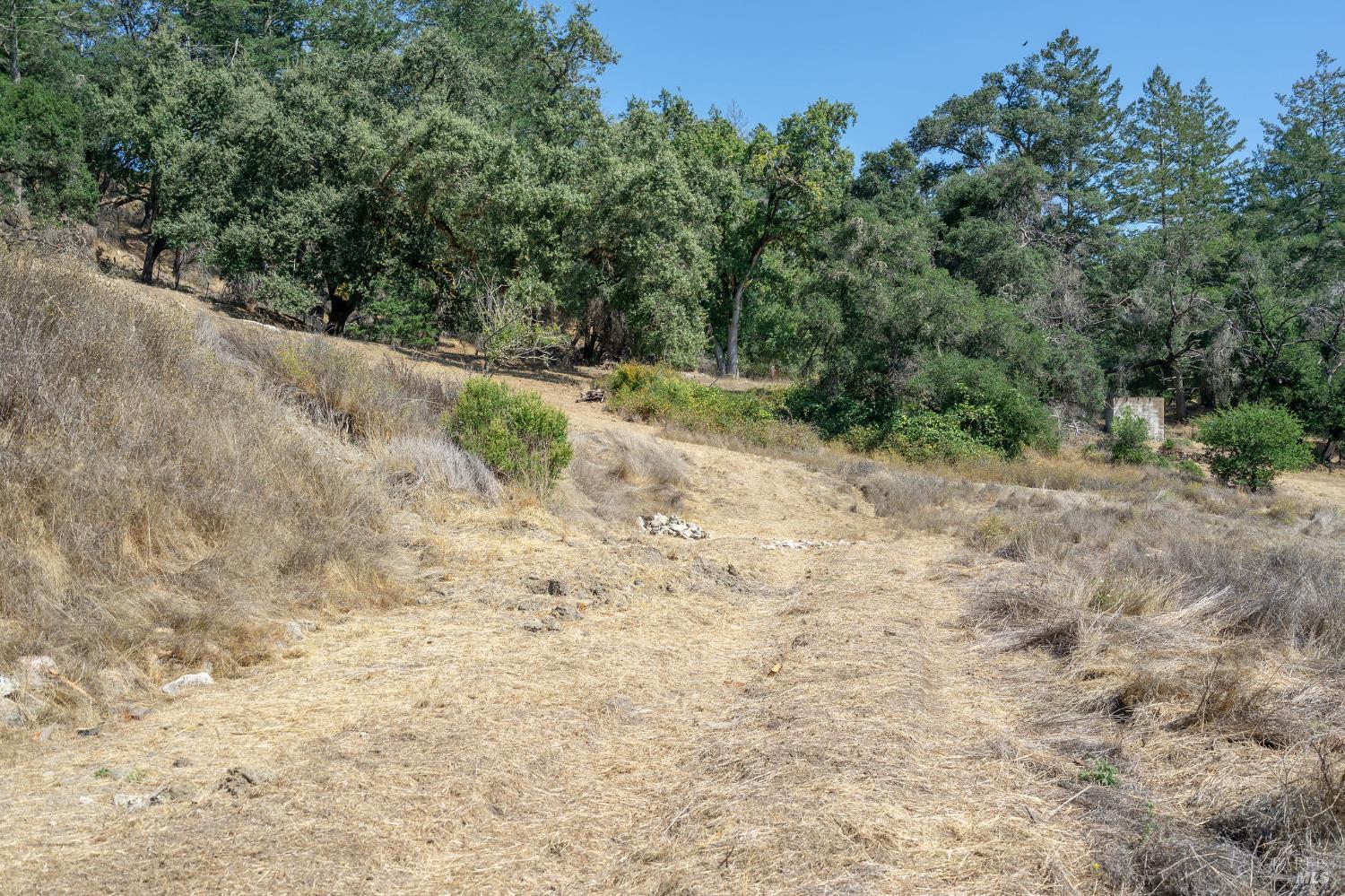 6583 St Helena Road Santa Rosa, CA 95404 - Photo 35 of 71 a view of a yard with a tree