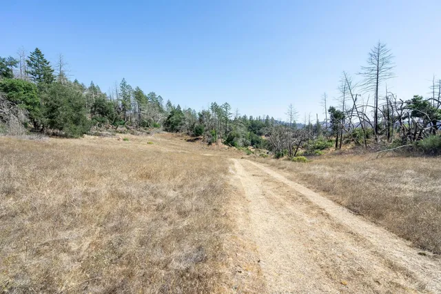 a view of a road with a trees in the background