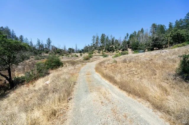 a view of a dry yard with trees