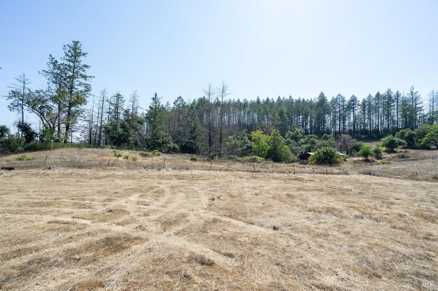 6583 St Helena Road Santa Rosa, CA 95404 - Photo 43 of 71 a view of a dry yard with trees