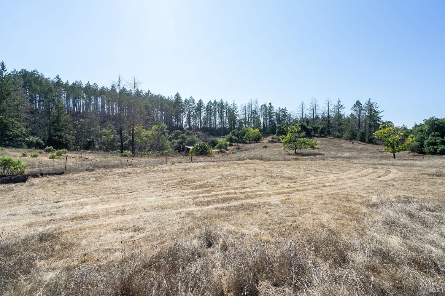 6583 St Helena Road Santa Rosa, CA 95404 - Photo 44 of 71 a view of a dry yard with trees