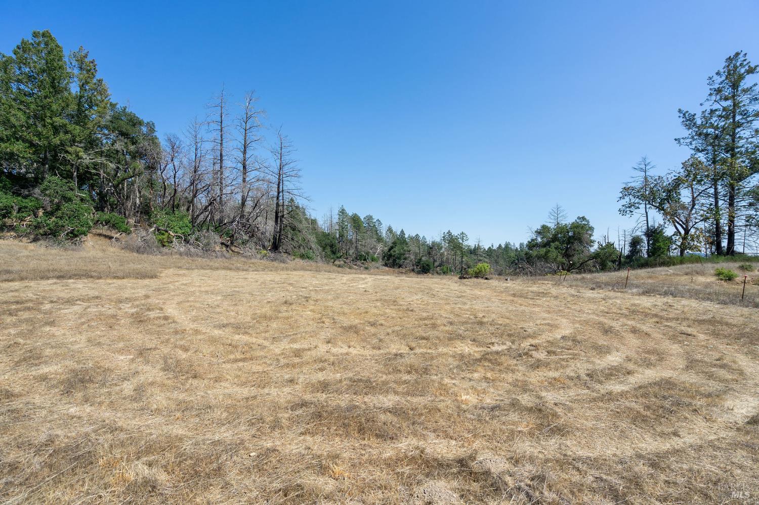 6583 St Helena Road Santa Rosa, CA 95404 - Photo 46 of 71 a view of a dry yard with trees in the background