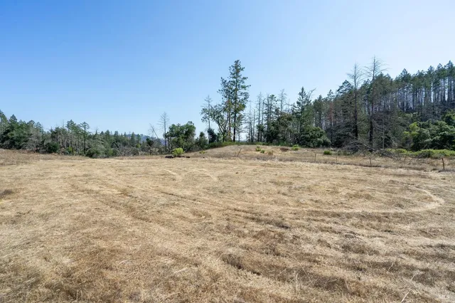 a view of a dirt road with trees in the background