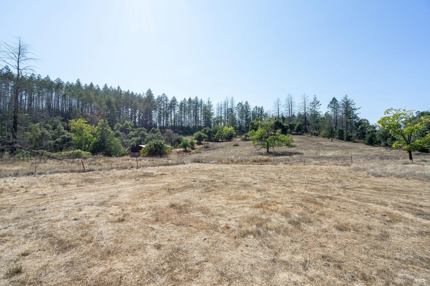 6583 St Helena Road Santa Rosa, CA 95404 - Photo 48 of 71 a view of a dry yard with trees