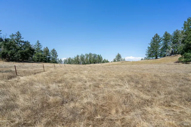 a view of a dry yard with wooden fence