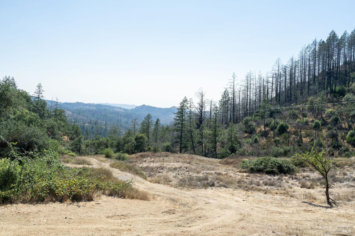 6583 St Helena Road Santa Rosa, CA 95404 - Photo 5 of 71 a view of a dry yard with trees