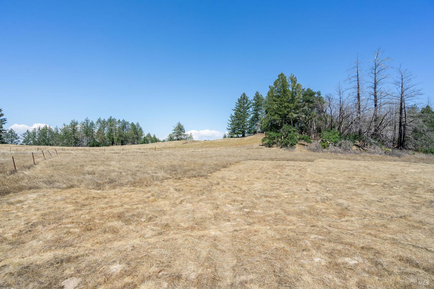 6583 St Helena Road Santa Rosa, CA 95404 - Photo 51 of 71 a view of dirt field with trees in background