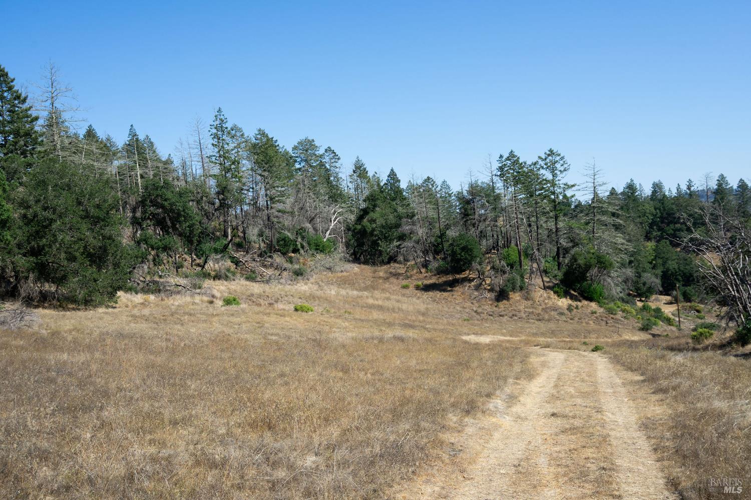 6583 St Helena Road Santa Rosa, CA 95404 - Photo 52 of 71 a view of a dirt road with trees in the background