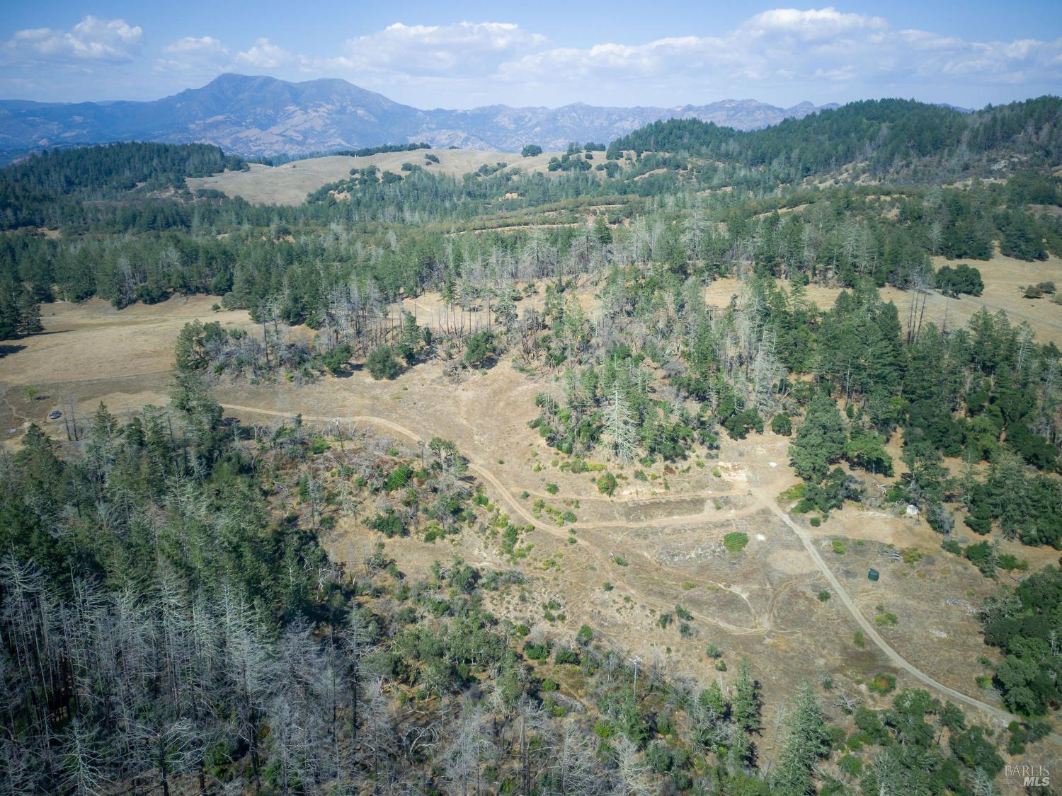 6583 St Helena Road Santa Rosa, CA 95404 - Photo 59 of 71 a view of a lush green hillside and a houses