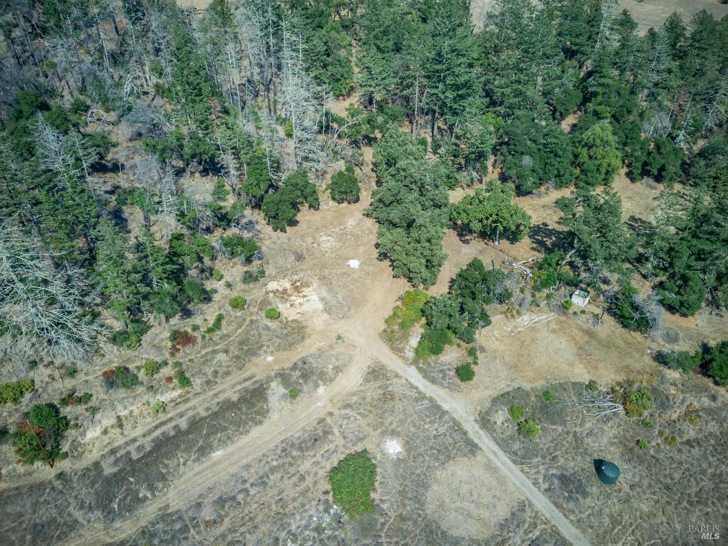 6583 St Helena Road Santa Rosa, CA 95404 - Photo 63 of 71 a view of a forest with a tree
