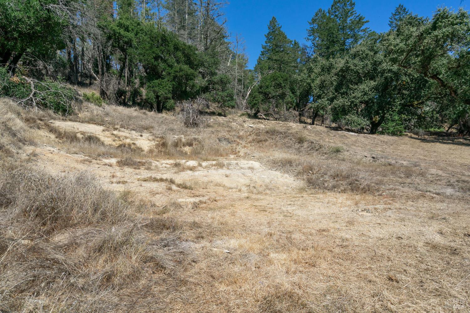 6583 St Helena Road Santa Rosa, CA 95404 - Photo 8 of 71 a view of a dry yard with trees in the background