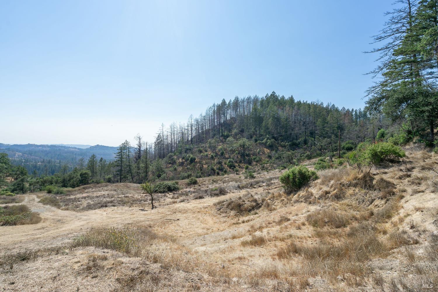 6583 St Helena Road Santa Rosa, CA 95404 - Photo 9 of 71 a view of a dry yard with trees