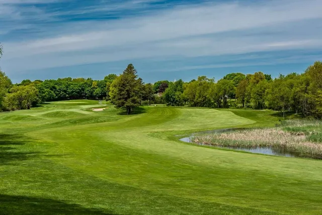 a view of a field with an ocean