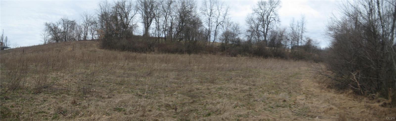 Lehigh Drive Northampton, PA 18067 - Photo 13 of 19 a view of a yard