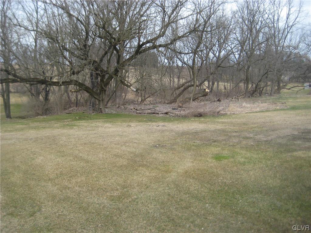 Lehigh Drive Northampton, PA 18067 - Photo 14 of 19 a view of a yard with a tree