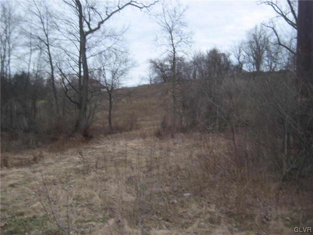 Lehigh Drive Northampton, PA 18067 - Photo 2 of 19 a view of a yard with trees