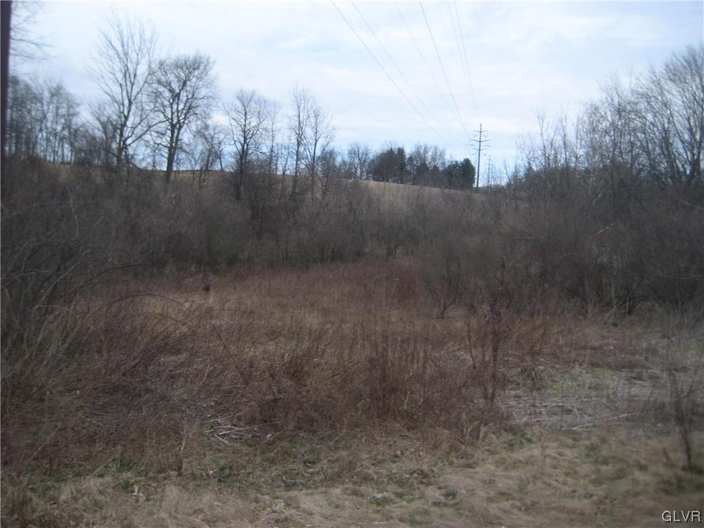 Lehigh Drive Northampton, PA 18067 - Photo 3 of 19 a view of a dry yard
