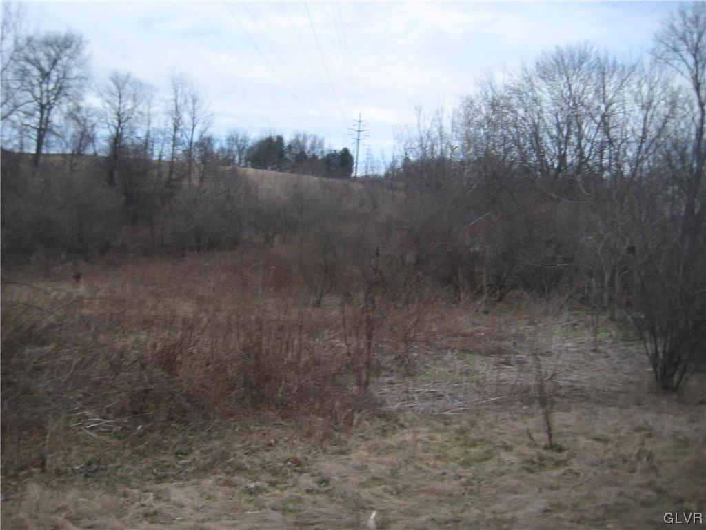 Lehigh Drive Northampton, PA 18067 - Photo 4 of 19 a view of a dry yard
