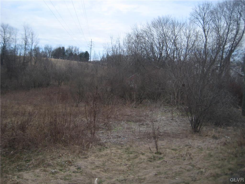 Lehigh Drive Northampton, PA 18067 - Photo 5 of 19 a view of a dry yard