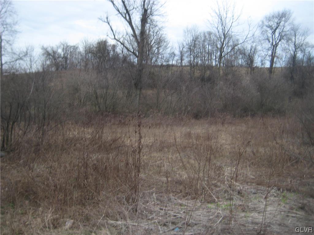 Lehigh Drive Northampton, PA 18067 - Photo 6 of 19 a view of a dry yard