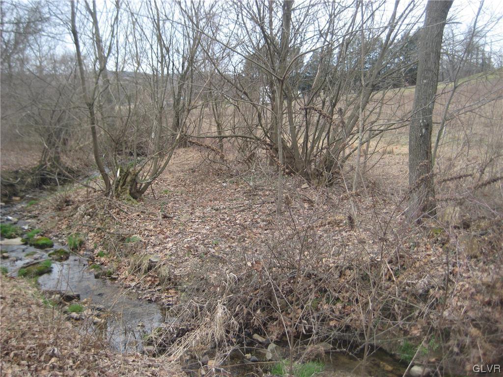 Lehigh Drive Northampton, PA 18067 - Photo 9 of 19 a view of a dry yard with trees