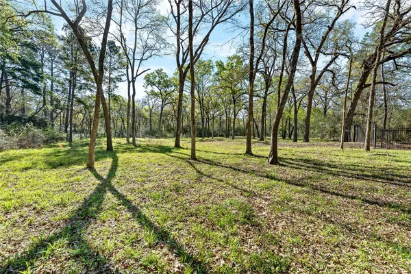 a view of a park with tree s