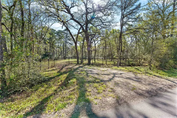 a view of outdoor space with trees