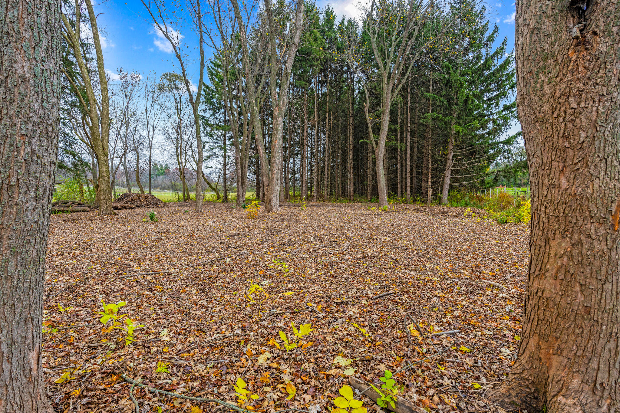 W288S250 Elmhurst Road Waukesha, WI 53188 - Photo 27 of 32 W288S250 Elmhurst Rd, Waukesha-HDR-11