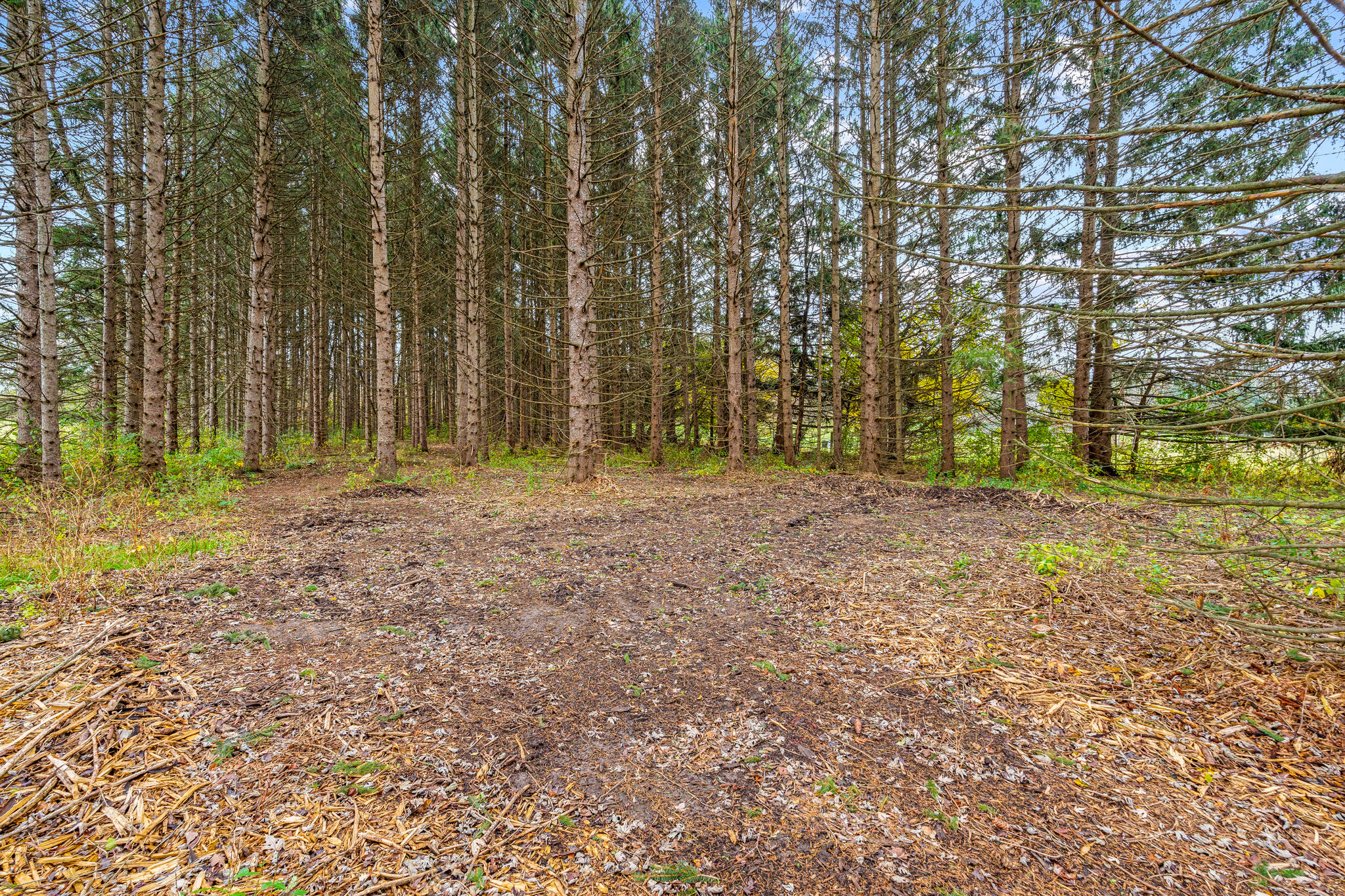W288S250 Elmhurst Road Waukesha, WI 53188 - Photo 31 of 32 W288S250 Elmhurst Rd, Waukesha-HDR-15