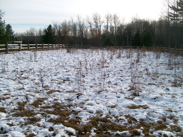 6434 Maple Hill Road Southwest Fife Lake, MI 49633 - Photo 59 of 73 1825651-58.JPG